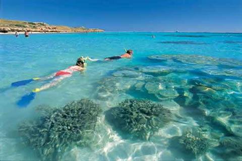 Snorkeling is a favourite activity for tourists