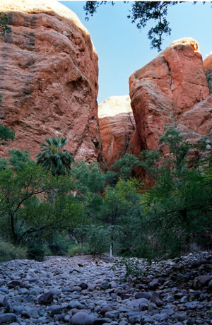 Another view of the magnificent Bungle Bungle ranges