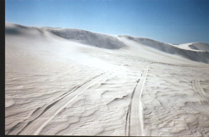 sand dunes with the white sand of this area