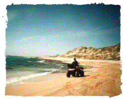 Quad bike at Coral Bay