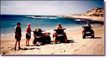 coral bay quads