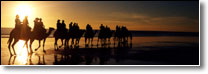 sunset with camels